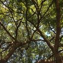 melissa mullin r1hwgoaz9is unsplash